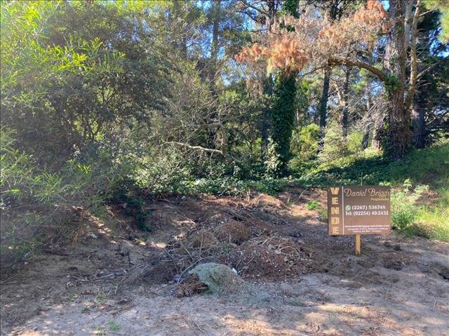 EXCELENTE ANTESQUINA ARBOLADA