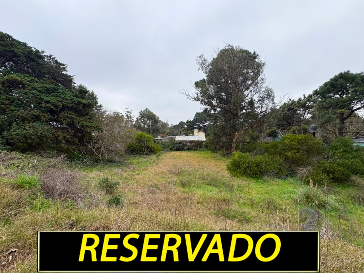LOTE NIVELADO CERCANO A CARILO