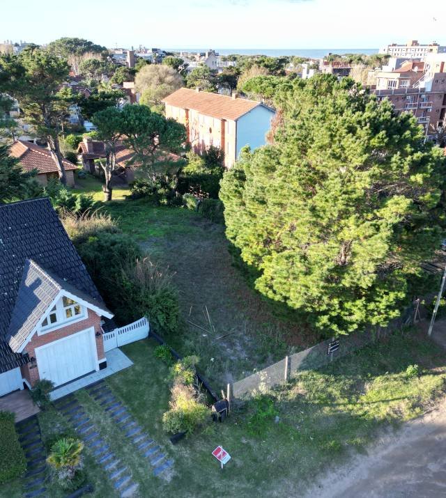 DJI_0364.JPG
