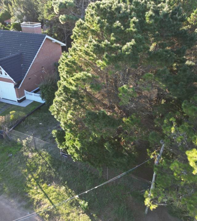 DJI_0365.JPG