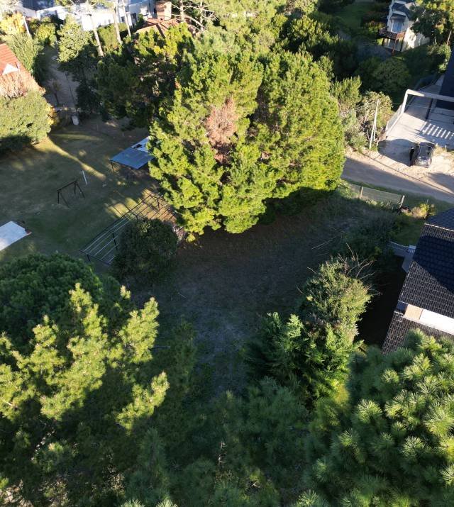 DJI_0366.JPG