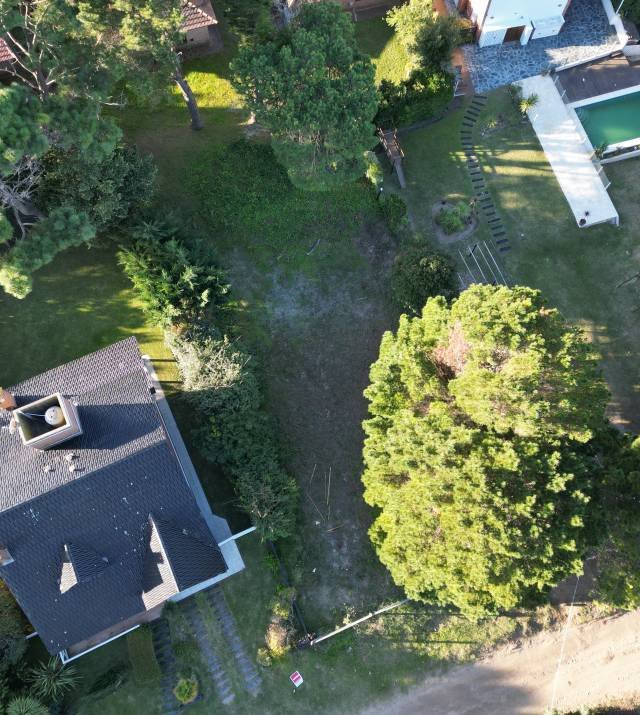 DJI_0369.JPG